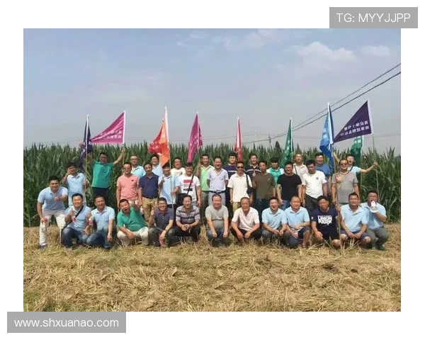 南特俱乐部重塑辉煌历史新篇章探索与未来发展路径分析