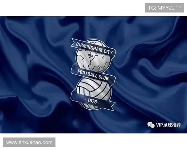 考文垂俱乐部百年起伏与英格兰足球文化传承之路历史荣耀与挑战